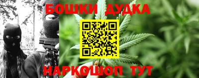 твердый Сланцы