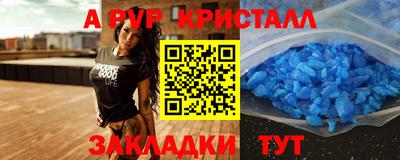 твердый Сланцы
