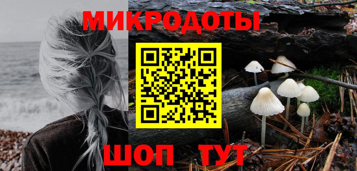 как найти закладки  Галлюциногенные грибы прущие грибы  Карталы  Вход с VPN  Галлюциногенные грибы Psilocybe 